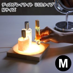 LEDディスプレイライト USBタイプ Mサイズ JPDF2112【ランプ かわいい 電球 LED ライト LED照明 イルミネーション ハロウィン クリスマスツリー クリスマス xmas】