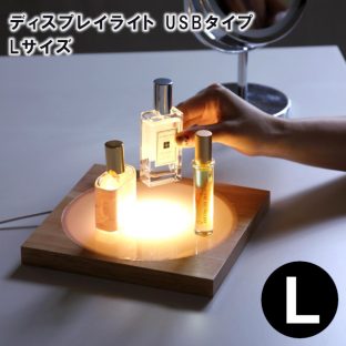 LEDディスプレイライト USBタイプ Lサイズ JPDF2113【ランプ かわいい 電球 LED ライト LED照明 イルミネーション ハロウィン クリスマスツリー クリスマス xmas】