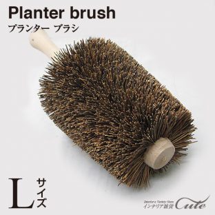 【ホウキ】プランター ブラシ（Lサイズ）103101 【タワシ プランター掃除 束子 たわし 天然素材 ガーデニングツール 簡単 きれい クリスマス Xmas】