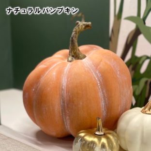 ナチュラルパンプキン　アーティフィシャルフラワー HW000986【ハロウィン Halloween かぼちゃ デコレーションパーツ オーナメント クリスマスオーナメント ハロウィン クリスマス xmas 東京堂】