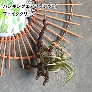 【POSHLIVING】ハンギングエアプランツ S 80915【グリーン フェイク オブジェ アーティフィシャルフラワー ブーケ リーフ お花 ギフト プレゼント 贈り物 記念日 父の日 母の日 敬老の日 クリスマス】