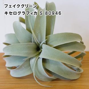 【POSHLIVING】キセログラフィカ S 80946【グリーン フェイク オブジェ アーティフィシャルフラワー ブーケ リーフ お花 ギフト プレゼント 贈り物 記念日 父の日 母の日 敬老の日 クリスマス】