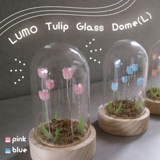 LUMO Tulip Glass Dome (L) L04-8015 L04-8016 Pink Blue【グローバルアロー global arrow チューリップ 癒し インテリア LED LEDライト 母の日 父の日 敬老の日 クリスマス xmas】