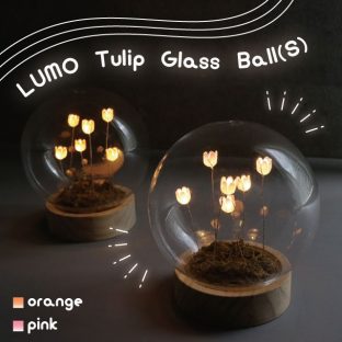 LUMO Tulip Glass Ball (S) L04-8017 L04-8018 Orange Pink【グローバルアロー global arrow チューリップ 癒し インテリア LED LEDライト 母の日 父の日 敬老の日 クリスマス xmas】