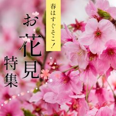 2026お花見特集
